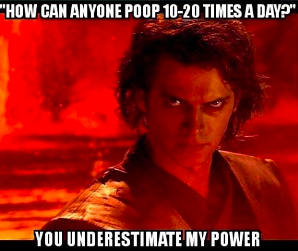 how can anyone poop 10-20 times per day? you underestimate my power