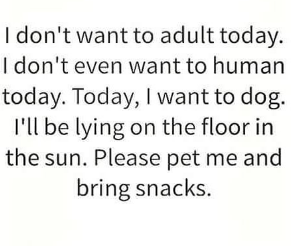 text that says i dont want to adult today, ii dont even want to human today. today i want to dog. i'll be lying on the floor in the sun please pet me and bring me snacks