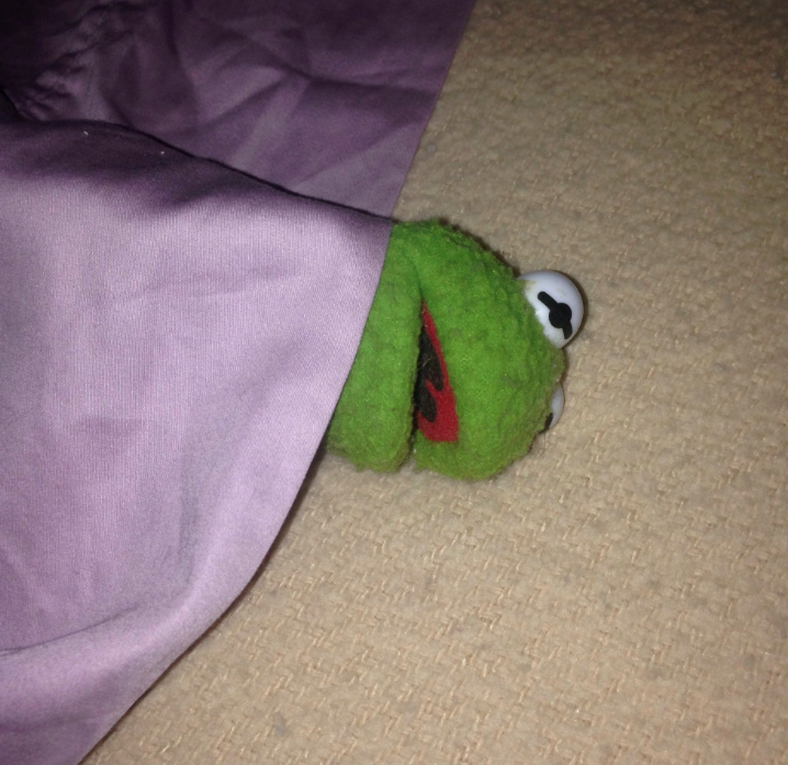 kermit lying under a blanket