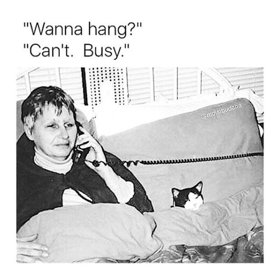 woman curled up in bed with her cat and talking on the phone. someone asks "wanna hang?" and she says "can't. busy."