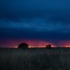 photo of storm on horizon across field at sunset