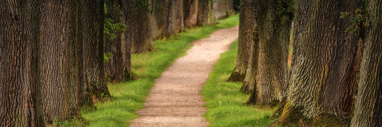 Getting Mood Swings Because of Lyme Disease path leading through a forest