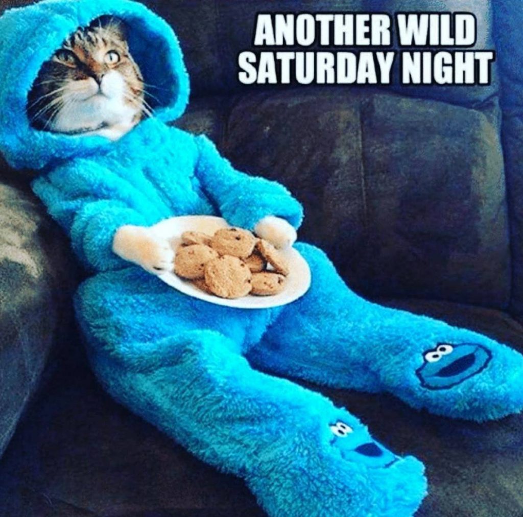 another wild saturday night... with cat lying on the couch wearing cookie monster footsie pajamas and holding a plate of cookies