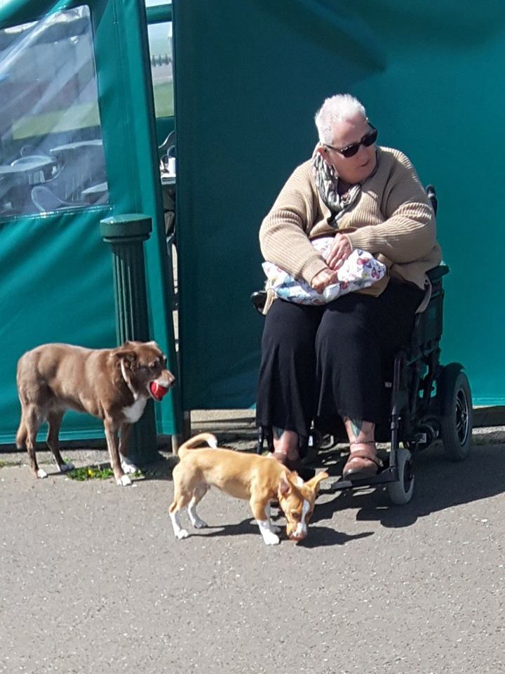 woman sitting in her wheelchair with two dogs standing by her feet