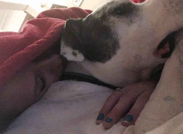 woman lying in bed hugging her dog