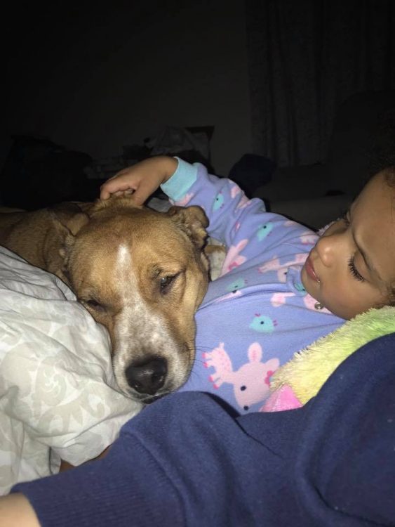 little girl and dog lying together