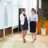 two businesswomen talking in an office
