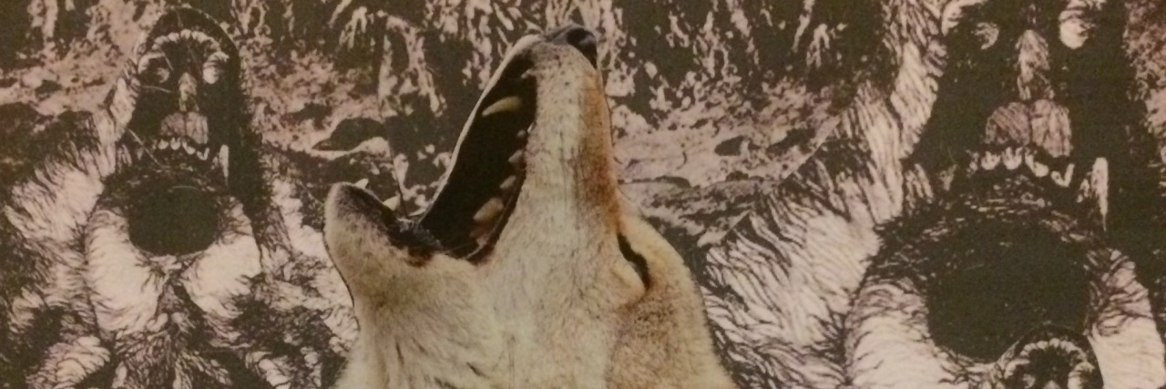 Why You Shouldn't Attribute Type A Personalities to ME/CFS collage with a wolf howling in the middle