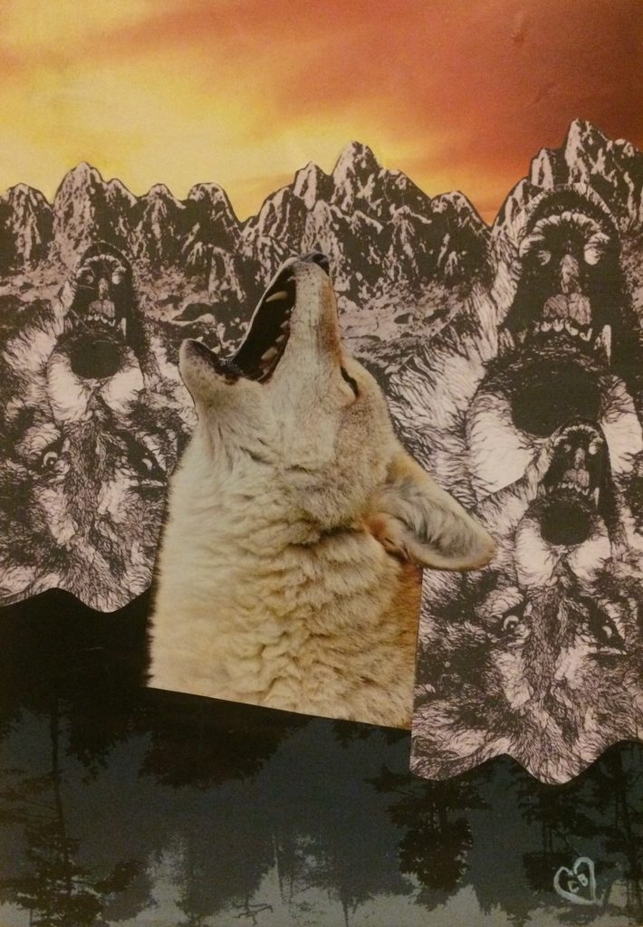 collage with a wolf howling in the middle