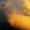 A picture of the clouds in the sky, tinted with darkness and orange from a sunset or sunrise.