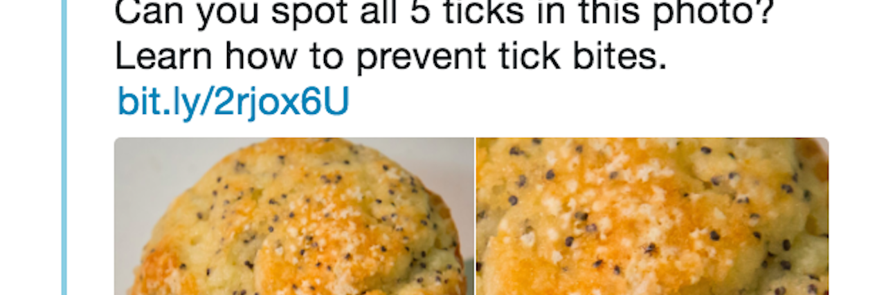 cdc's tweet asking to spot the ticks on a poppyseed muffin