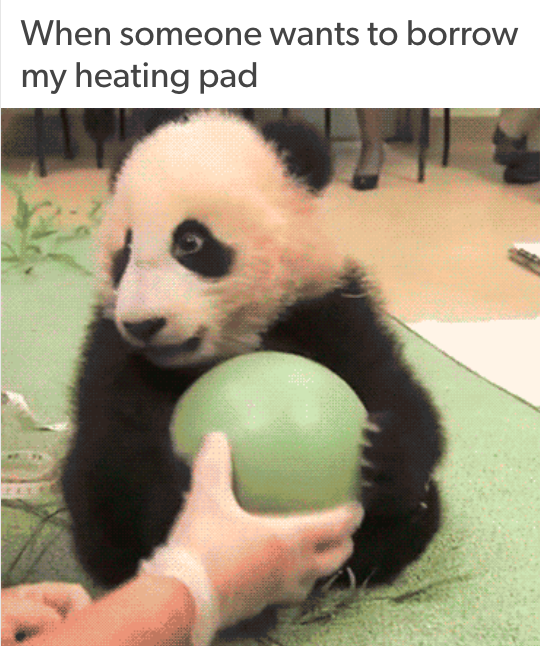 when someone wants to borrow my heating pad (panda holding a ball and not letting a person take it away)