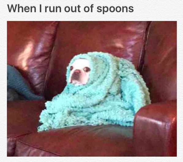 when i run out of spoons: (dog sitting on couch wrapped in blanket)
