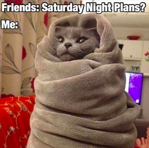 friends: saturday night plans: me: *cat wrapped in blanket*