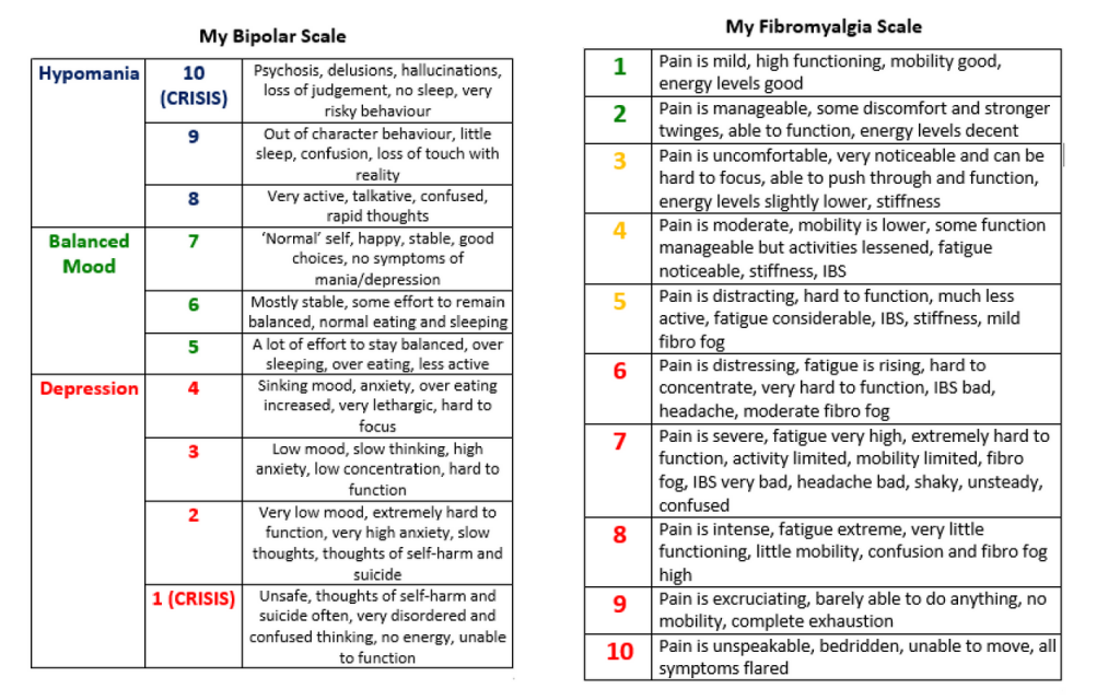 the author's scales she uses to track how her bipolar disorder and her fibromyalgia