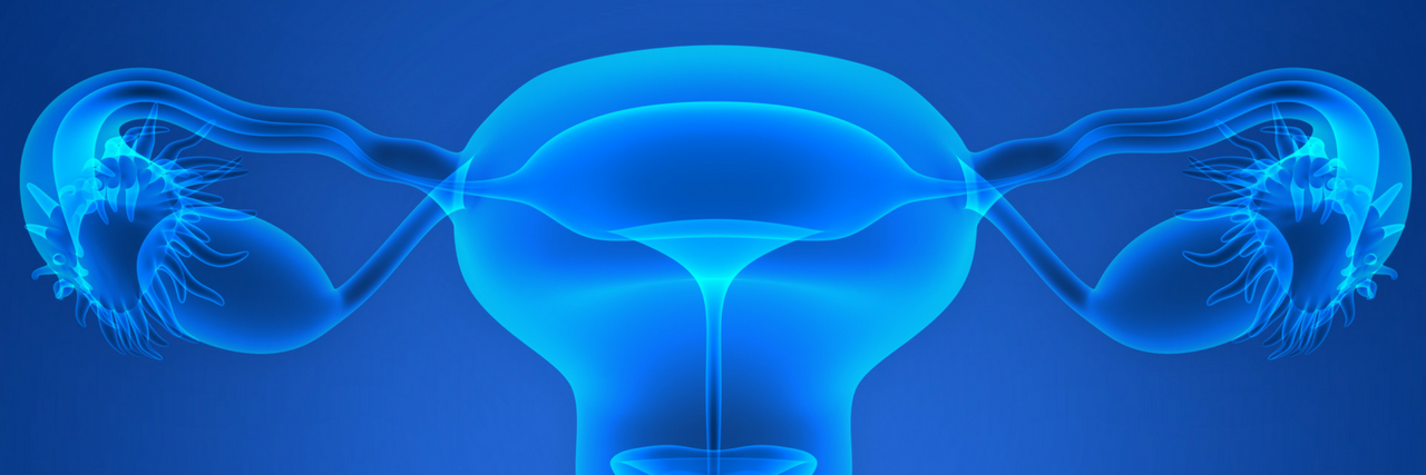 Illustration of the uterus/ovaries