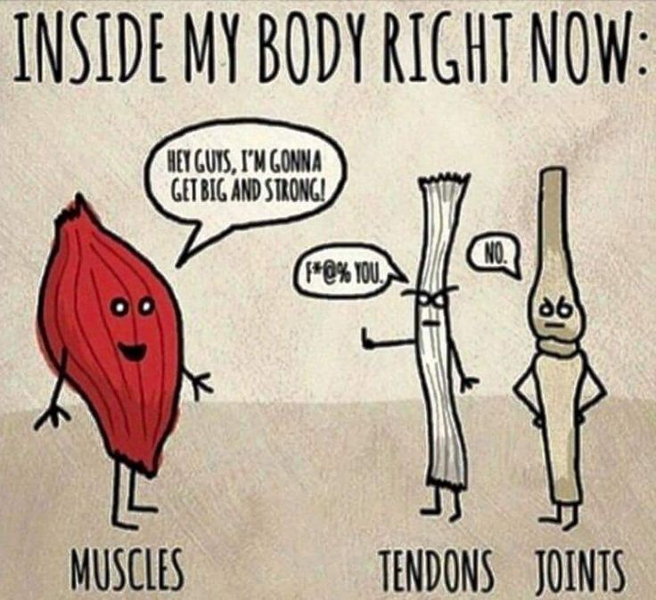 inside my body right now... muscles: I'm gonna get big and strong! tendons: f*** you. joints: no.