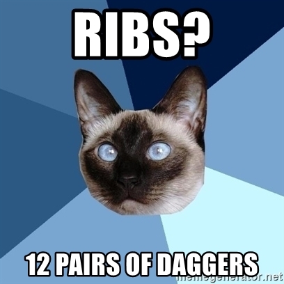 ribs? 12 pairs of daggers
