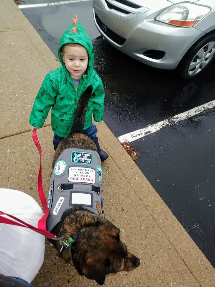 a woman's service dog standing next to her young son