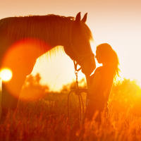 Beautiful silhouette of woman and horse at sunset.