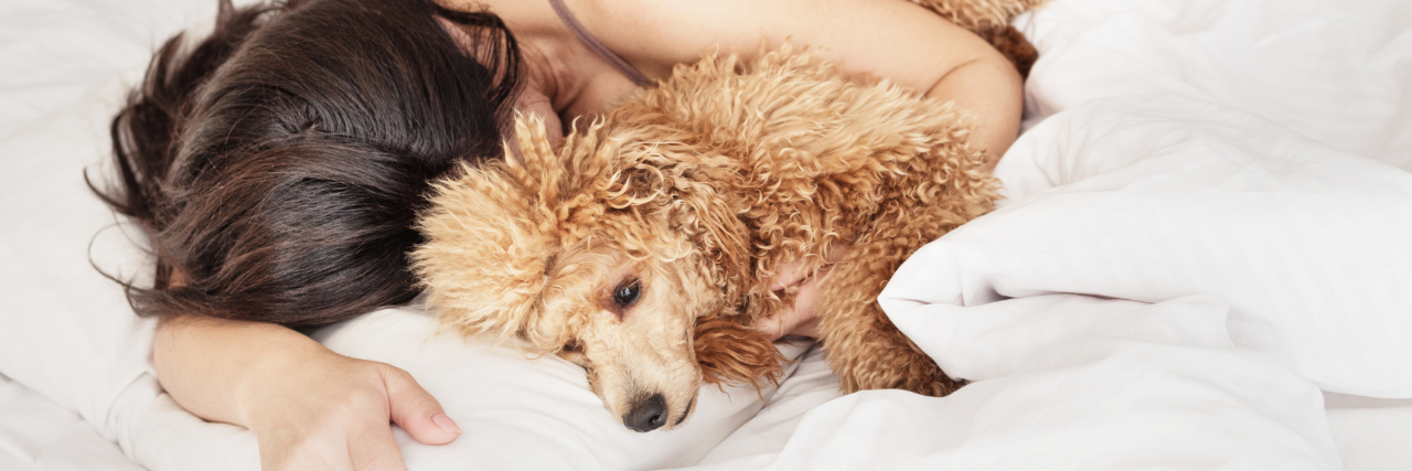 A woman lying in bed, snuggled up to her poodle.