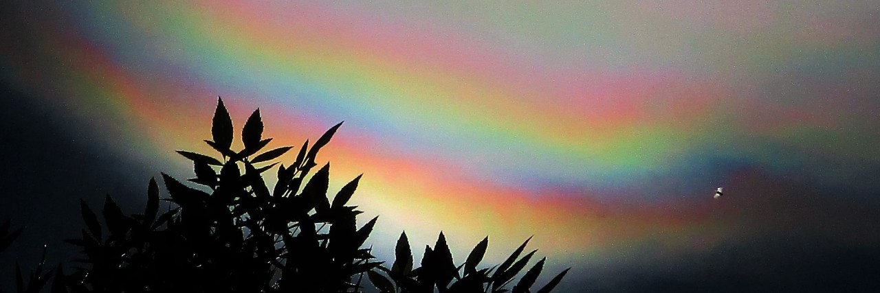 How Our Chronic Pain Can Transform Us rainbow over dark leaves