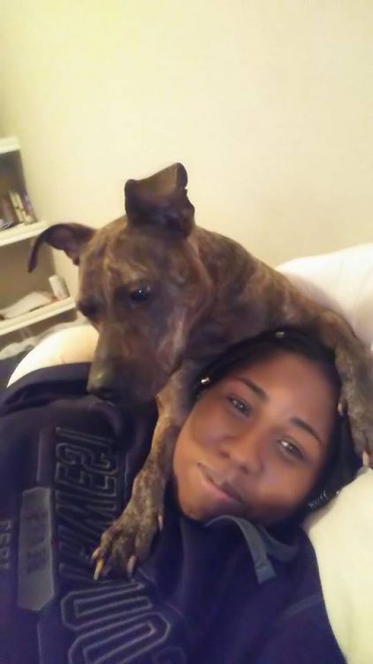 service dog on owner's head, snuggling