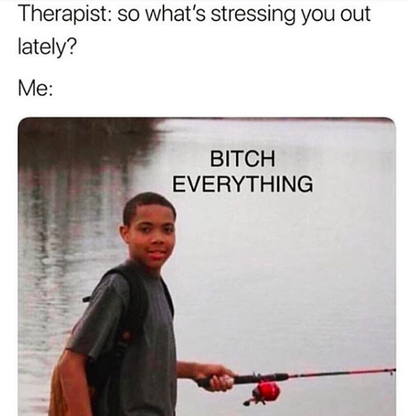 therapist: so what's stressing you out lately? Me: Everything (meme)