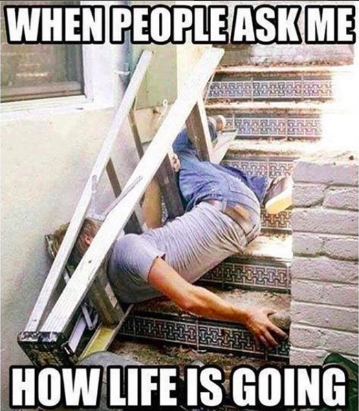 when people ask me how life is going: man falling down stairs