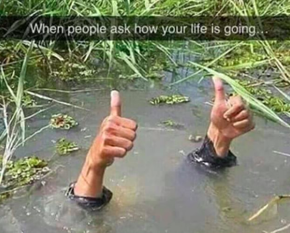 when people ask how your life is going: person's hands sticking up from underwater and giving a thumbs up