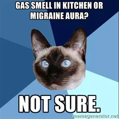 gas smell in kitchen or migraine aura? not sure.