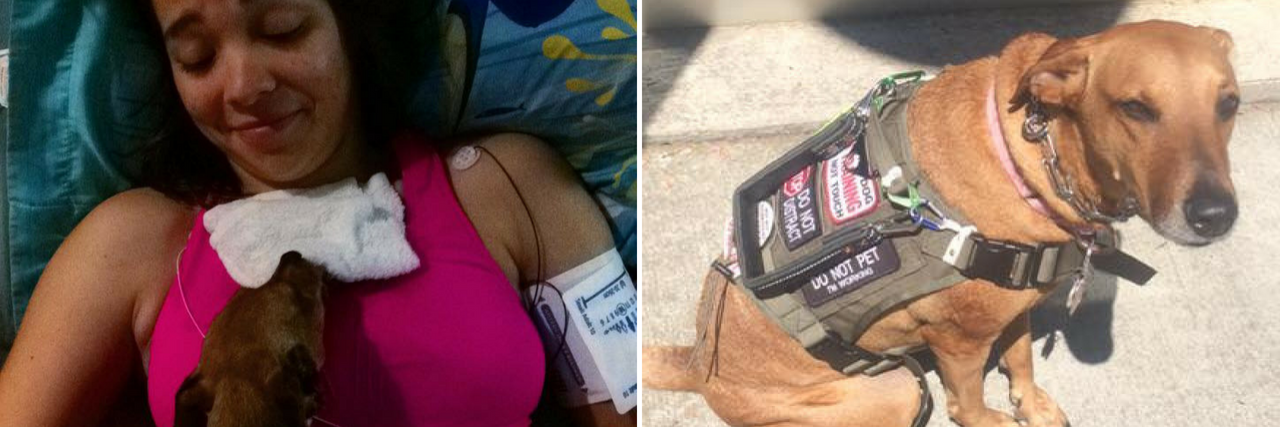 14 Photos of Service Dogs Helping Their Owners With Dysautonomia woman with service dog lying on her chest, and service dog wearing his vest and sitting outside