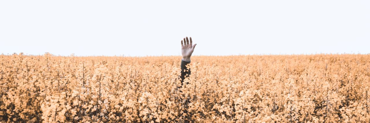 person's hand reaching out of field with peach color flowers