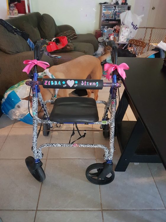 walker decorated with bows and stickers