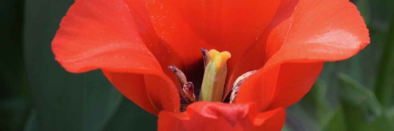 Pampering Ourselves in Our Lives With Chronic Illness