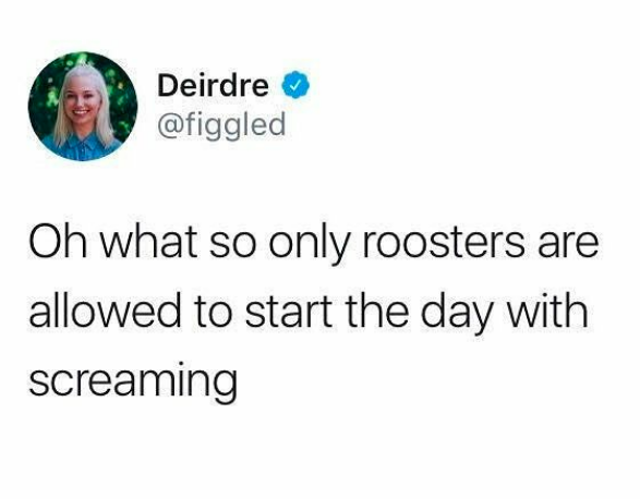 oh what so only roosters are allowed to start the day with screaming