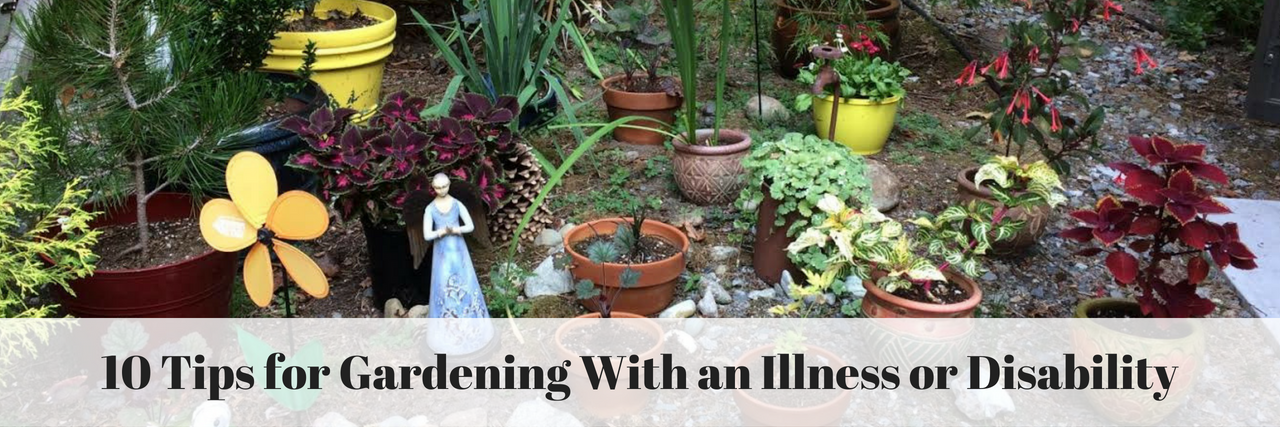 10 Tips for Gardening With an Illness or Disability
