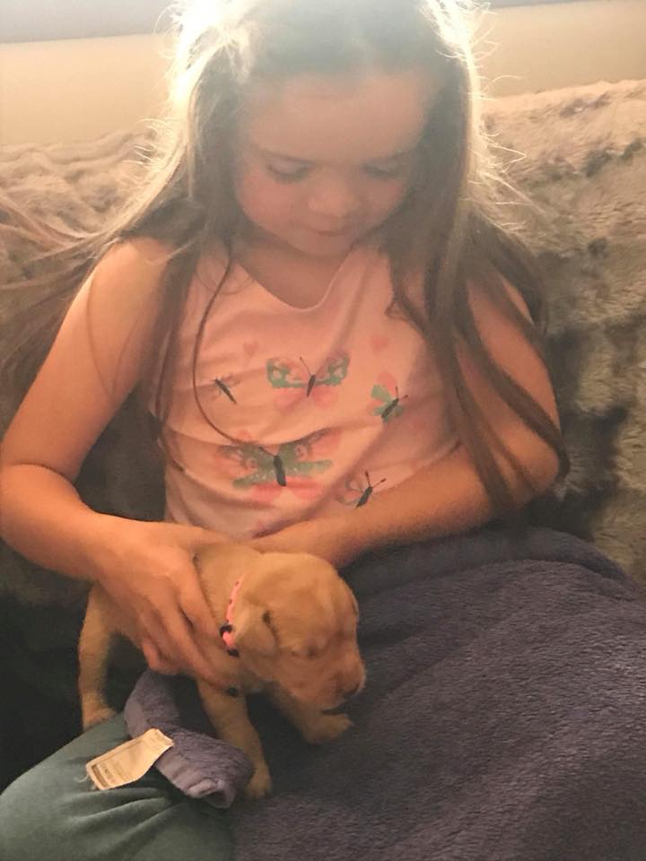Little girl with tiny puppy
