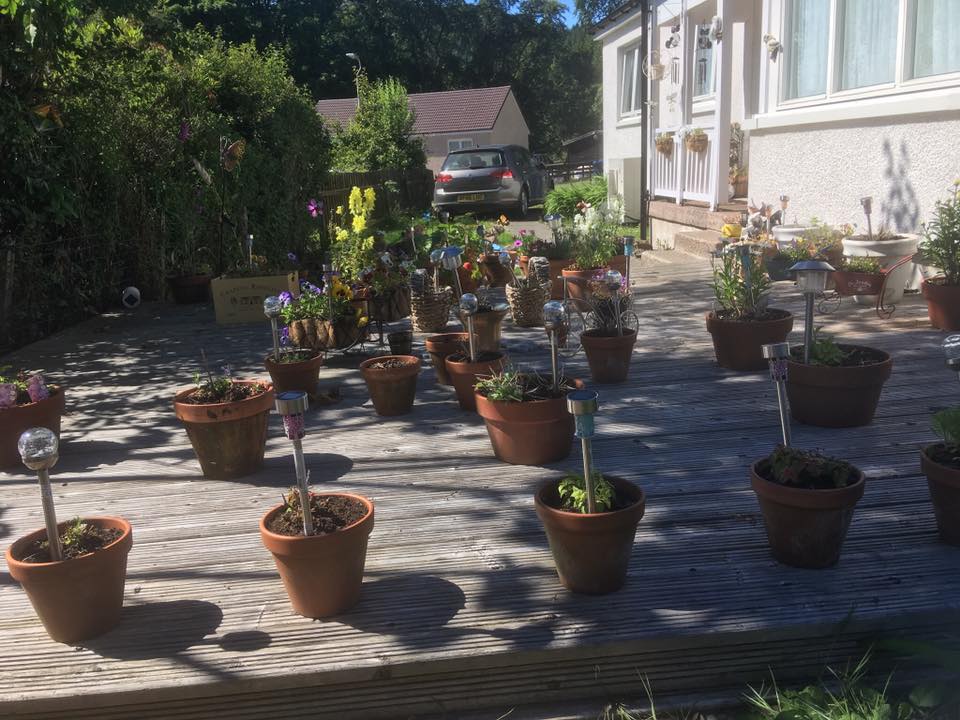 Lucy's container garden.