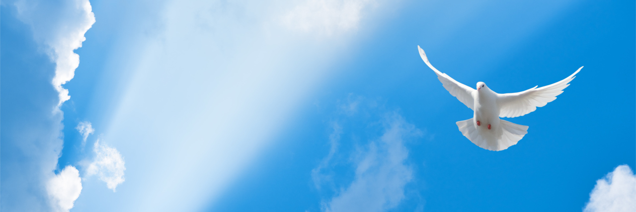 Losing a Parent as an Autistic Adult White dove flying in the sun rays among the clouds.