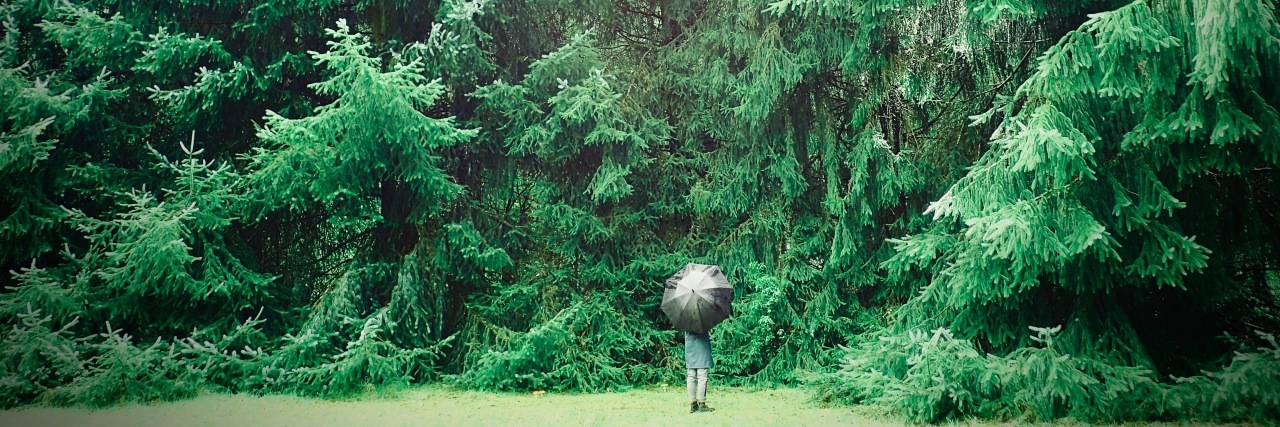 If People Are Trying to Invalidate Your Illness A picture of green nature.