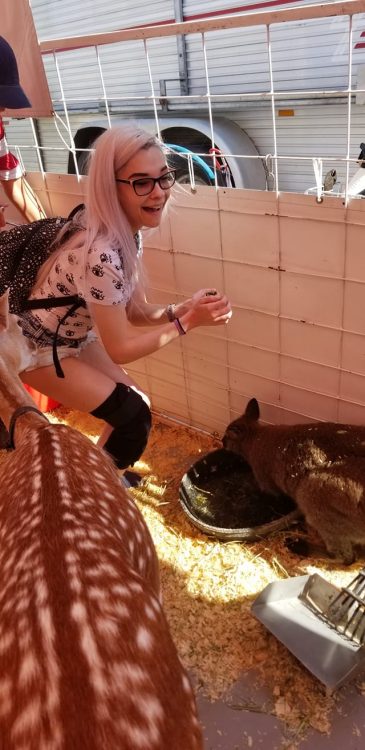 woman at petting zoo with rabbit