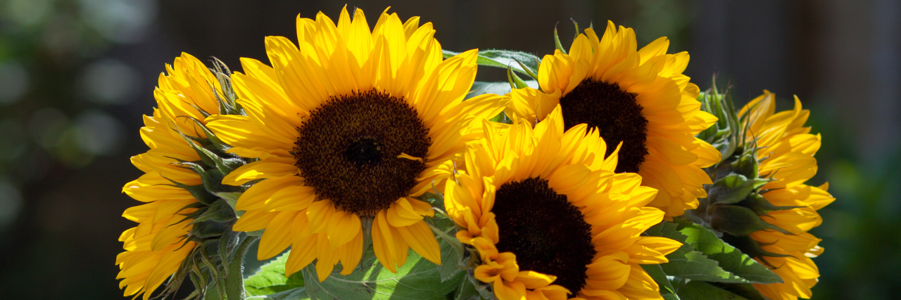 Cerebral Palsy and Independence While Depending on Others Bouquet of sunflowers in blue vase in a garden.