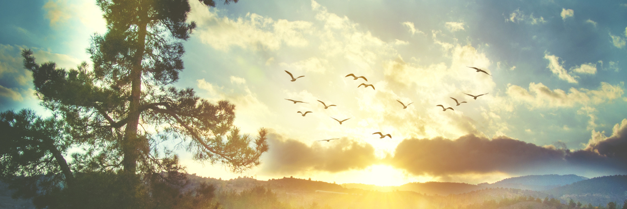 Staying Positive With Cerebral Palsy and Chronic Pain Beautiful sunset sky with birds.