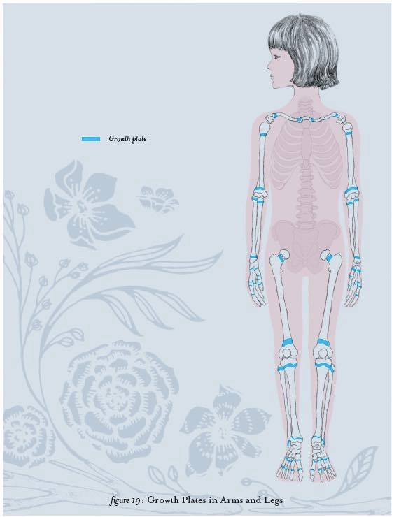drawing of body and flowers