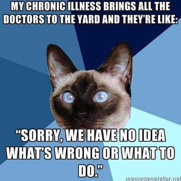 cat meme with text my chronic illness brings all the doctors to the yard and theyre like, sorry we have no idea what's wrong or what to do