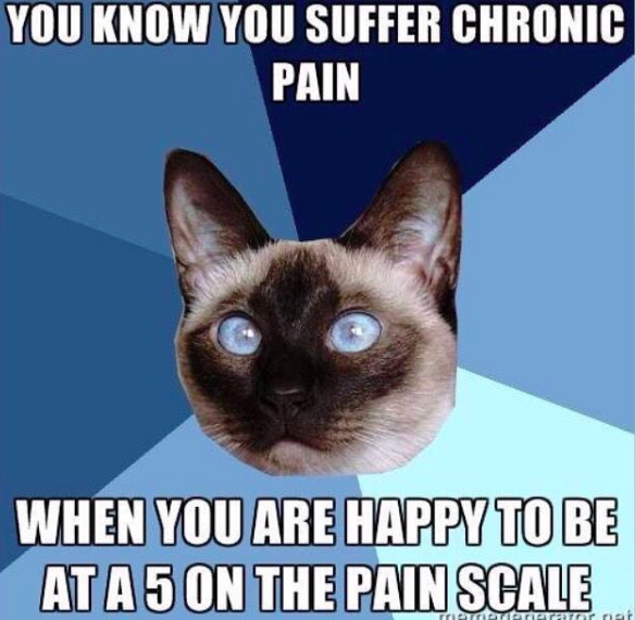 you know you suffer chronic pain when you are happy to be at a 5 on the pain scale