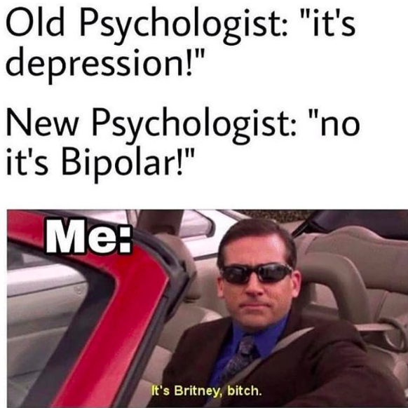 Funny Memes if You Have Bipolar Disorder