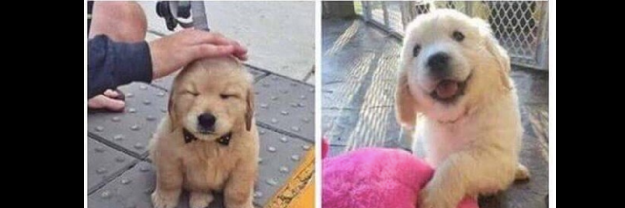 35 'Wholesome' Memes for Anyone Having a Bad Mental Health Day