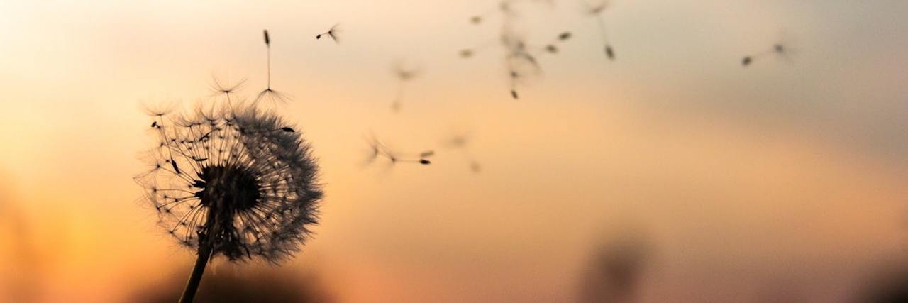 6 Things to Remind Yourself During Trauma Recovery